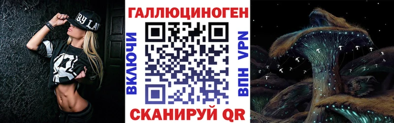Купить где  Урень  Галлюциногенные грибы Psilocybine cubensis 